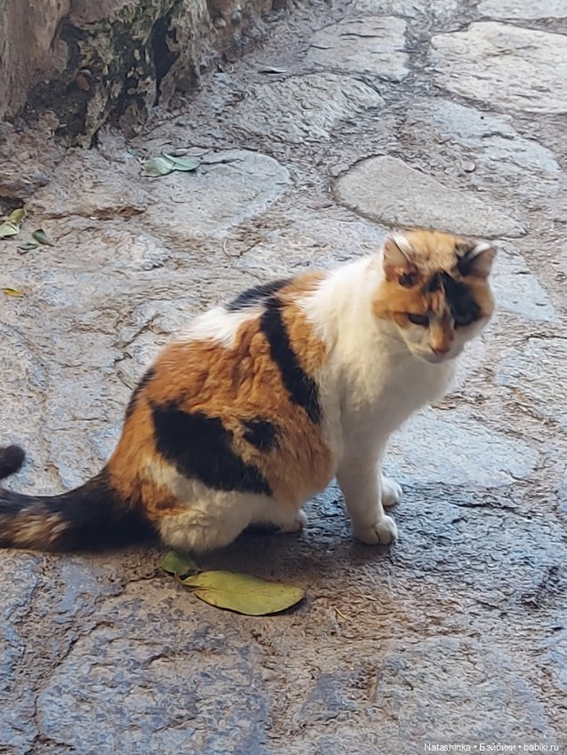 Fashion Dolls 326 — Туризм и путешествия: фотоотчеты из поездок