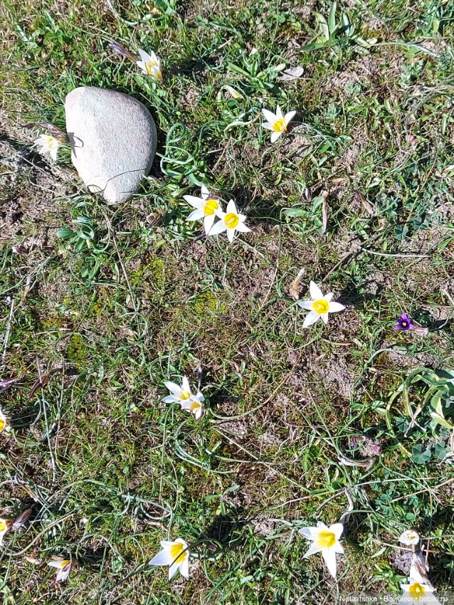 Fashion Dolls 326 — Туризм и путешествия: фотоотчеты из поездок