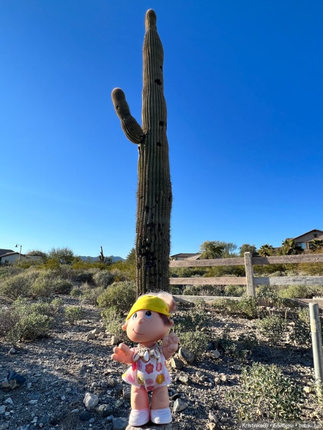 Дикий островок — Винтажные куклы ГДР (Немки): Бигги