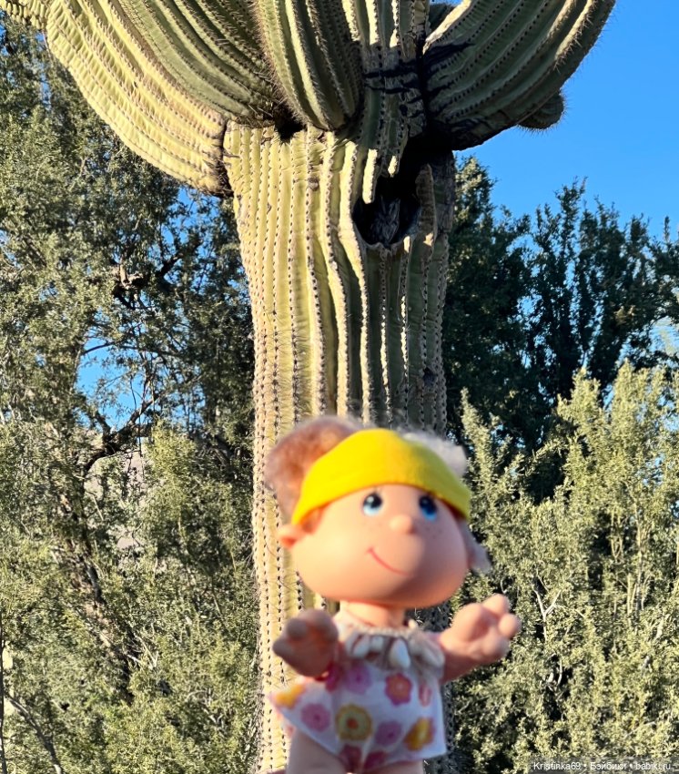 Дикий островок — Винтажные куклы ГДР (Немки): Бигги (фото 3)