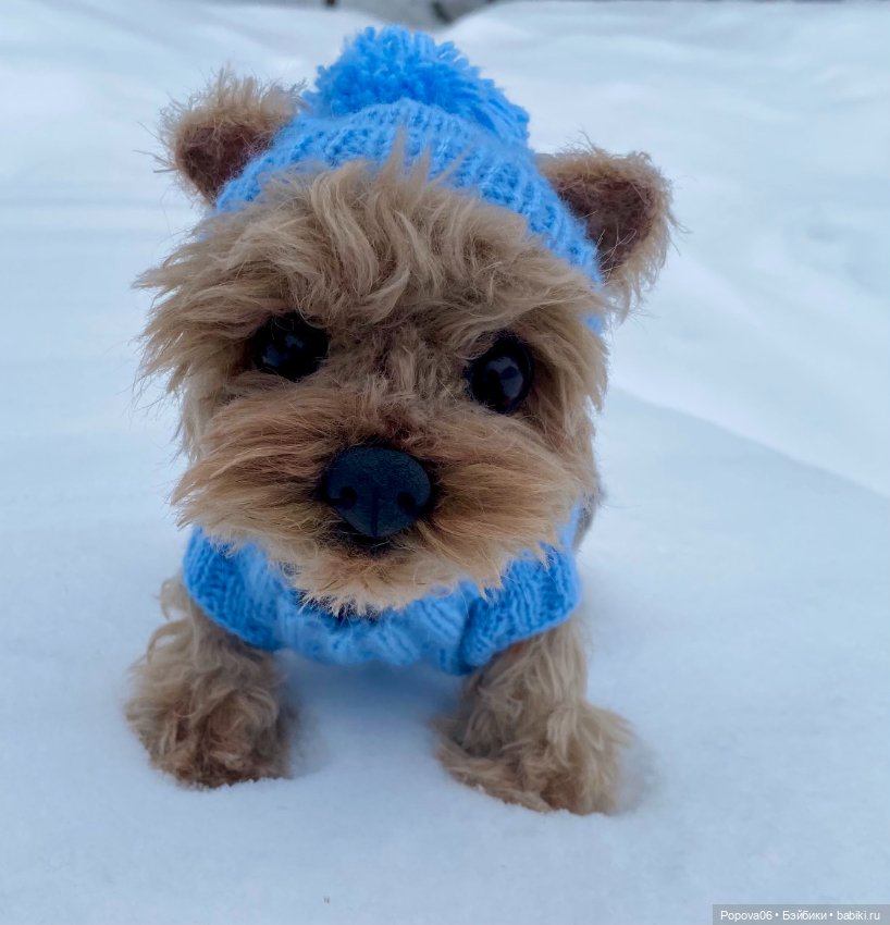 Мальчик Йорик Монти — Авторские мишки Тедди и друзья: фото
