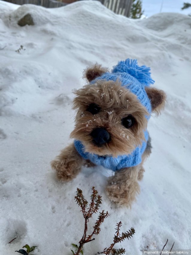 Мальчик Йорик Монти — Авторские мишки Тедди и друзья: фото