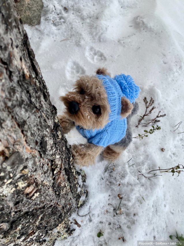 Мальчик Йорик Монти — Авторские мишки Тедди и друзья: фото