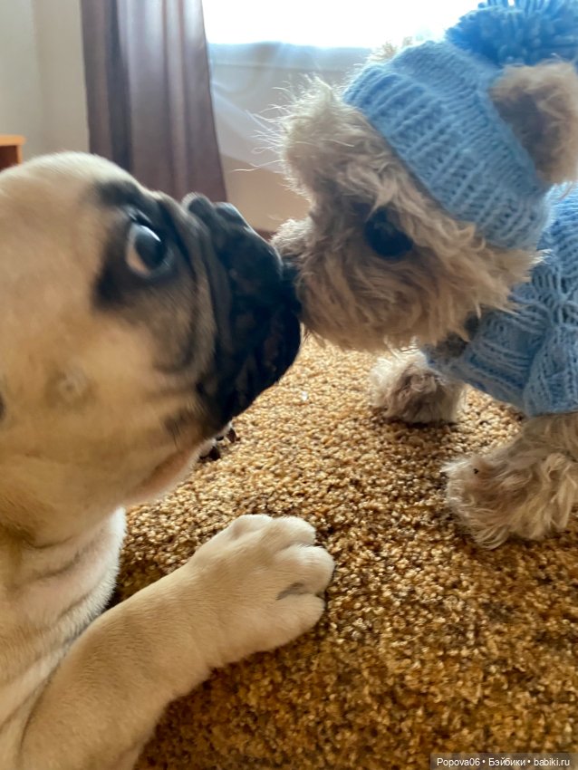 Мальчик Йорик Монти — Авторские мишки Тедди и друзья: фото (фото 10)