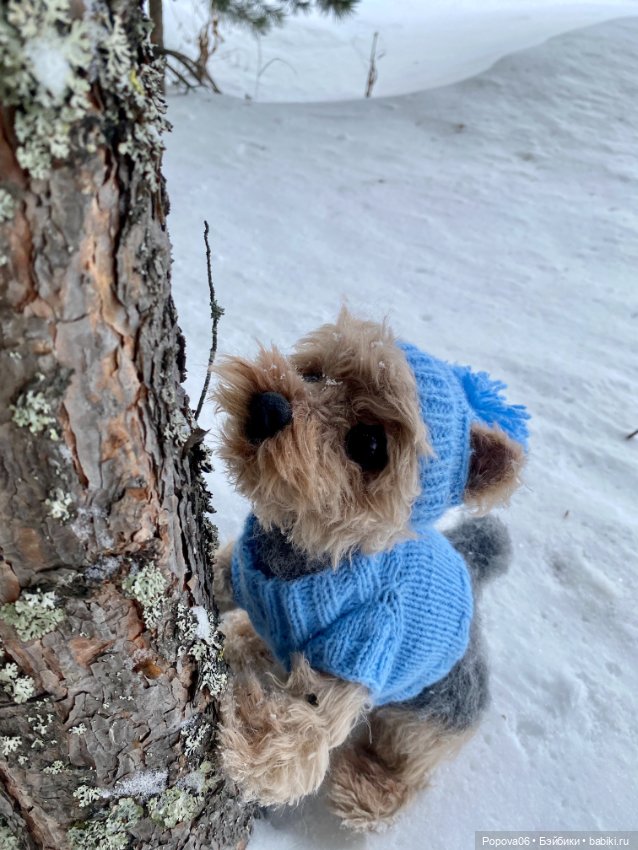 Мальчик Йорик Монти — Авторские мишки Тедди и друзья: фото