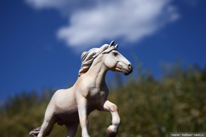 Все фото с конкурсов 2021 (фото 9)