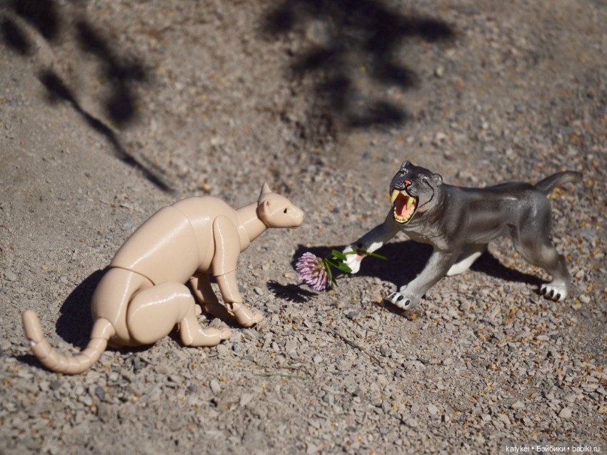 Все фото с конкурсов 2021 (фото 10)