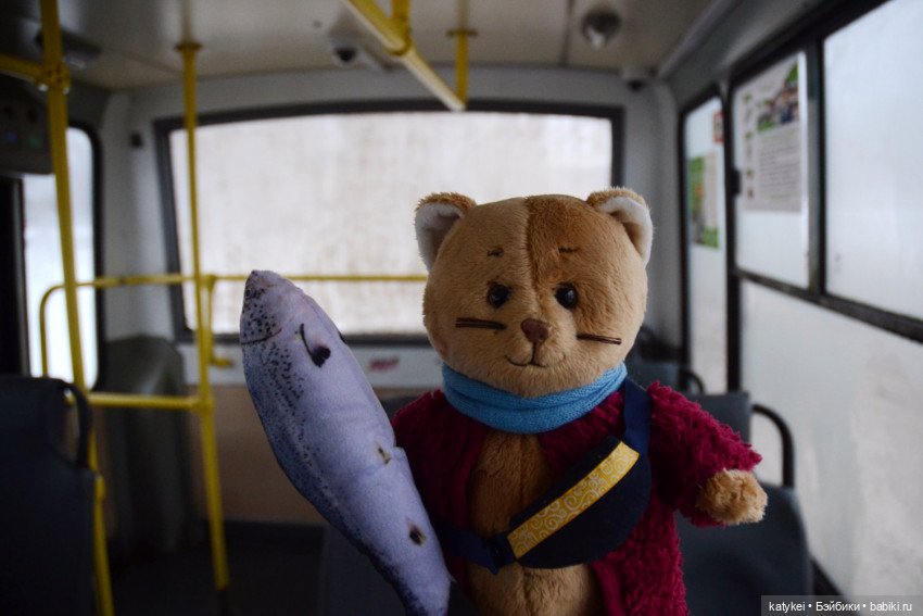 Все фото с конкурсов 2021