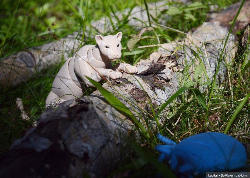 Все фото с конкурсов 2021 (фото 7)