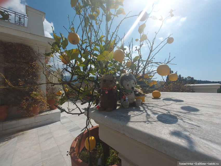 Fashion Dolls 328 — Туризм и путешествия: фотоотчеты из поездок