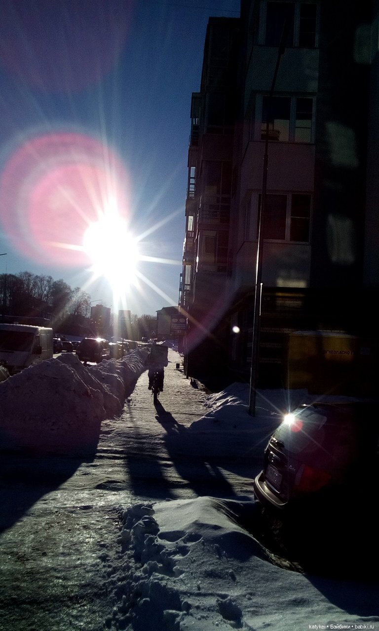 Душисто-золотистые овально-гениальные (постконкурс) (фото 7)