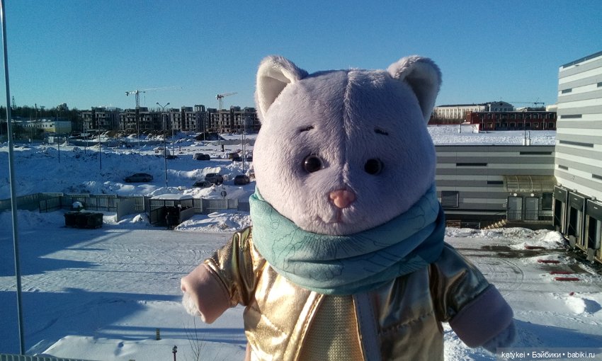 Душисто-золотистые овально-гениальные (постконкурс) (фото 2)