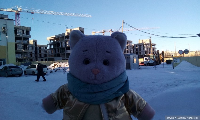 Душисто-золотистые овально-гениальные (постконкурс)