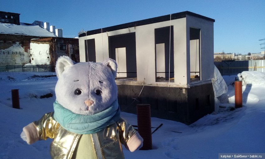 Душисто-золотистые овально-гениальные (постконкурс)