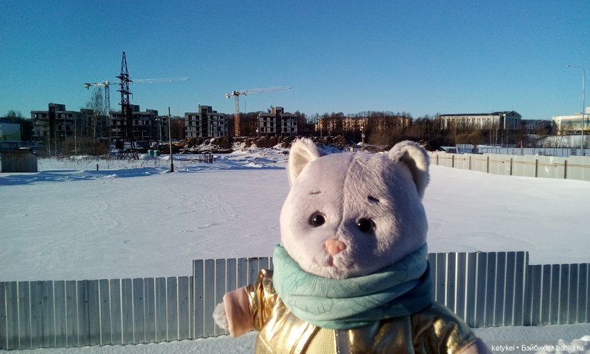 Душисто-золотистые овально-гениальные (постконкурс) (фото 9)