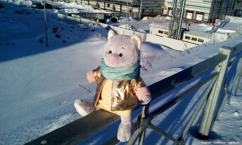 Душисто-золотистые овально-гениальные (постконкурс) (фото 5)