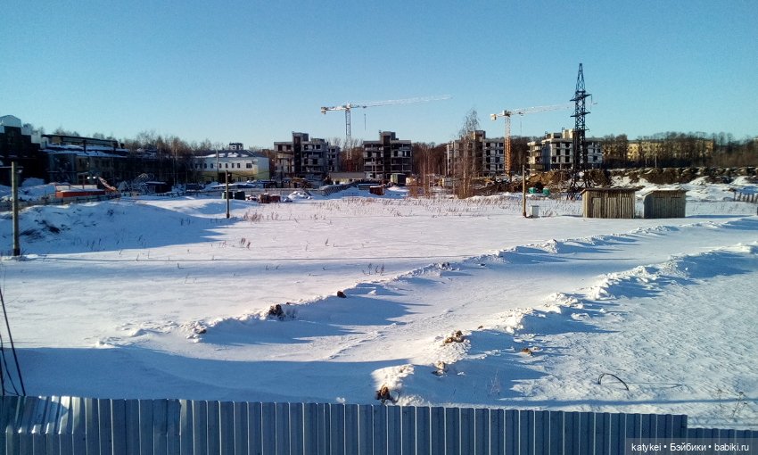 Душисто-золотистые овально-гениальные (постконкурс) (фото 10)