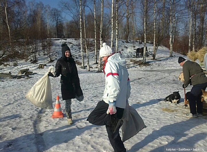 Душисто-золотистые овально-гениальные (постконкурс)