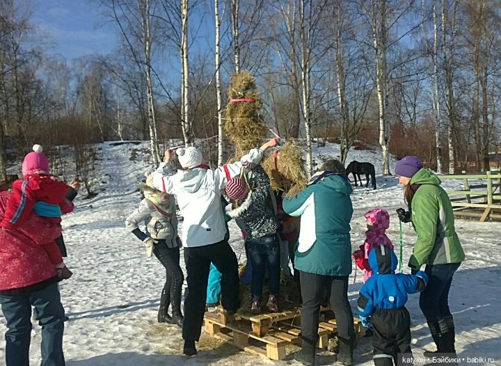 Душисто-золотистые овально-гениальные (постконкурс)