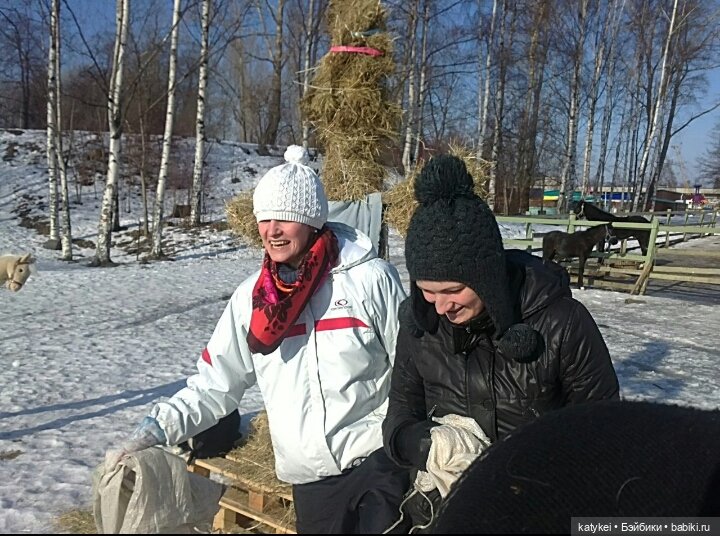 Душисто-золотистые овально-гениальные (постконкурс)