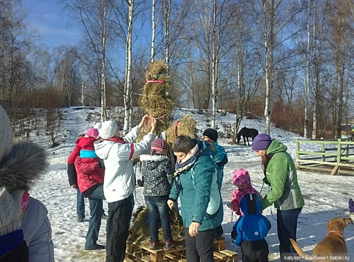 Душисто-золотистые овально-гениальные (постконкурс)