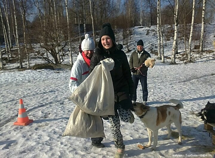 Душисто-золотистые овально-гениальные (постконкурс)