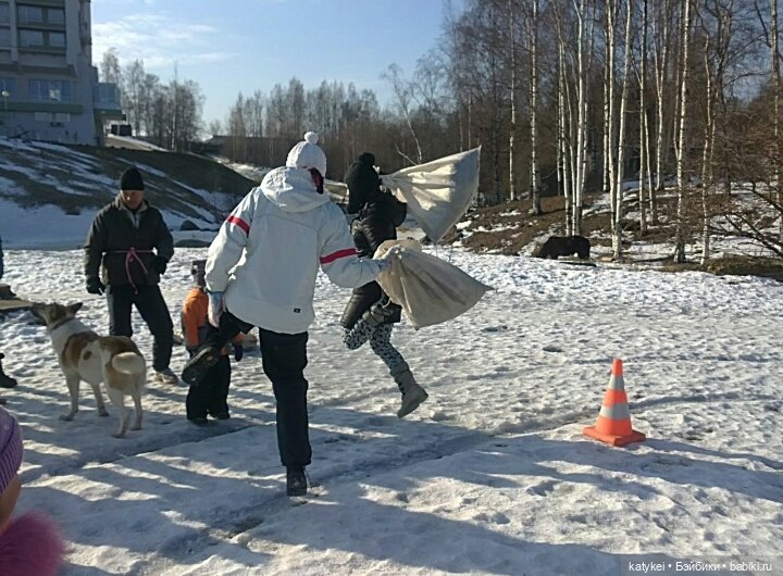 Душисто-золотистые овально-гениальные (постконкурс)