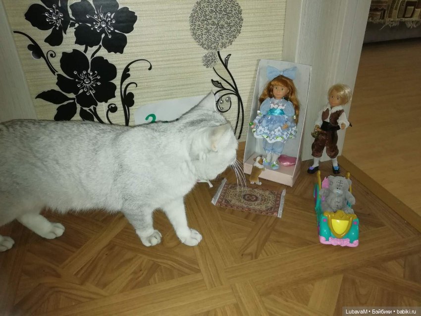 Кошки и куклы — В мире животных: смешные фото питомцев и зверей (фото 5)