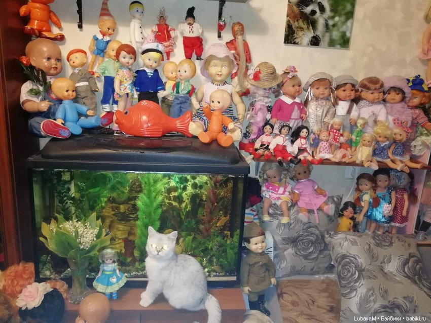 Кошки и куклы — В мире животных: смешные фото питомцев и зверей