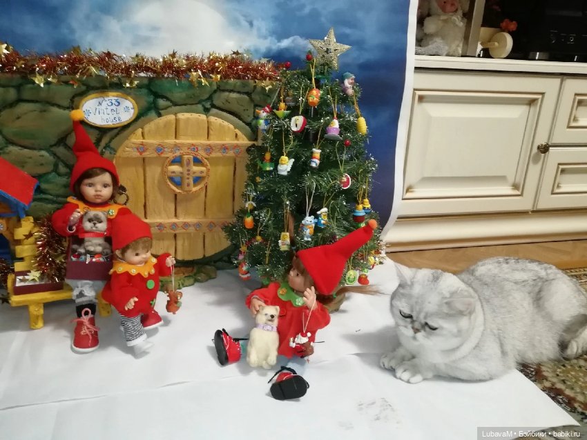 Кошки и куклы — В мире животных: смешные фото питомцев и зверей