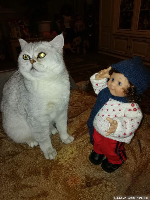 Кошки и куклы — В мире животных: смешные фото питомцев и зверей (фото 10)