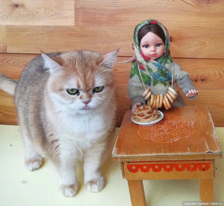 Кошки и куклы — В мире животных: смешные фото питомцев и зверей