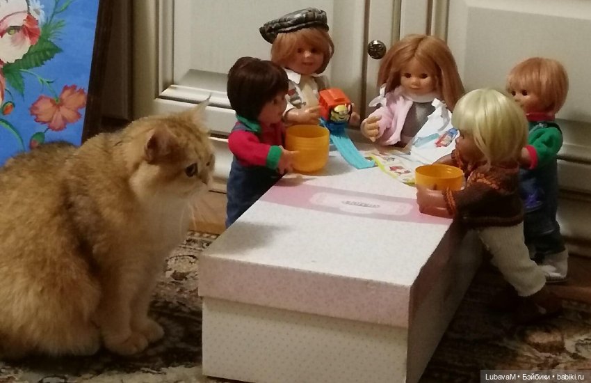 Кошки и куклы — В мире животных: смешные фото питомцев и зверей (фото 9)