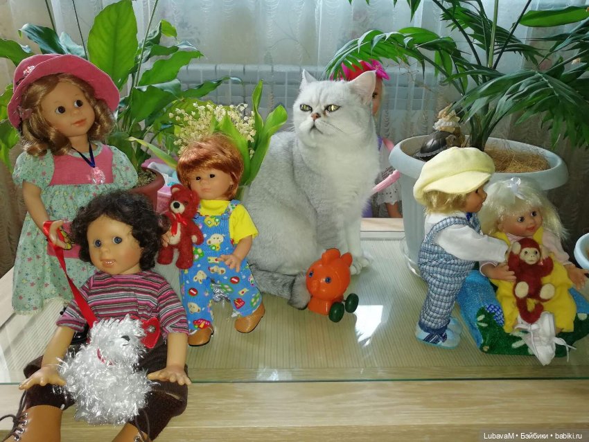 Кошки и куклы — В мире животных: смешные фото питомцев и зверей