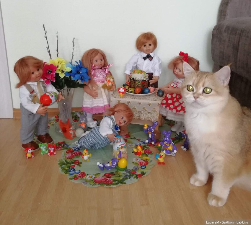 Кошки и куклы — В мире животных: смешные фото питомцев и зверей