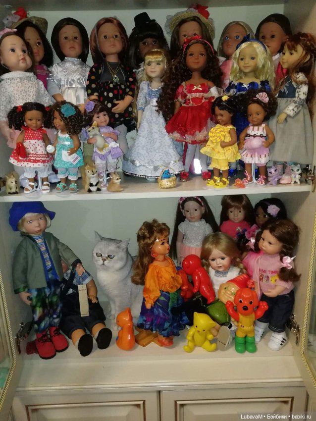 Кошки и куклы — В мире животных: смешные фото питомцев и зверей