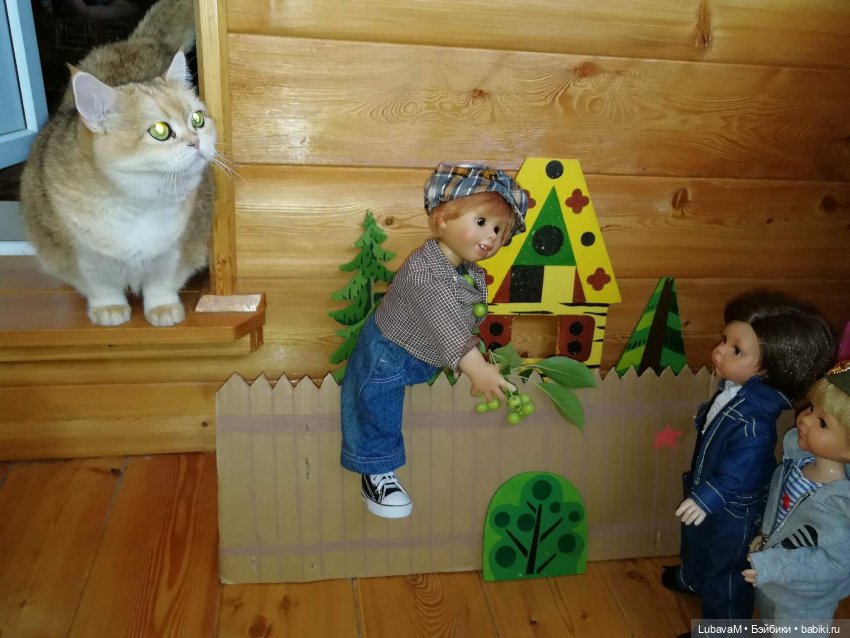 Кошки и куклы — В мире животных: смешные фото питомцев и зверей