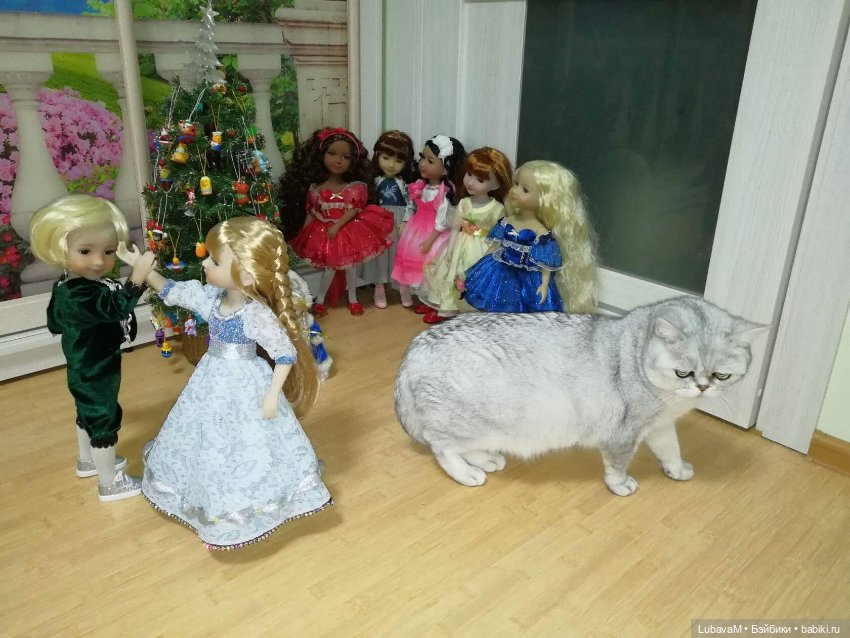 Кошки и куклы — В мире животных: смешные фото питомцев и зверей