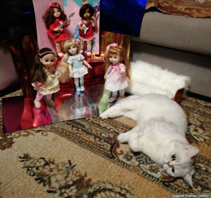 Кошки и куклы — В мире животных: смешные фото питомцев и зверей
