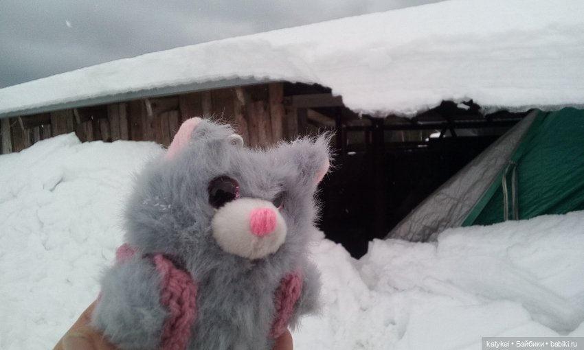 День котиков — Коллекционные игрушки и фигурки: Lego