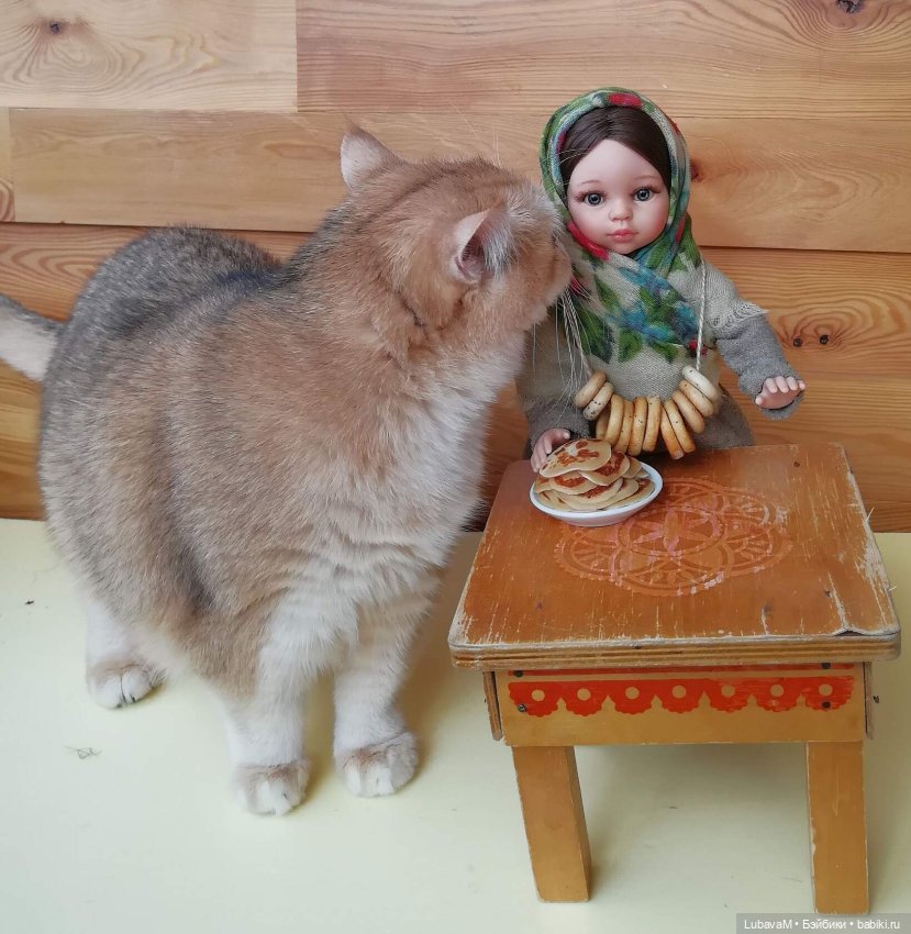 Кошки и куклы — В мире животных: смешные фото питомцев и зверей