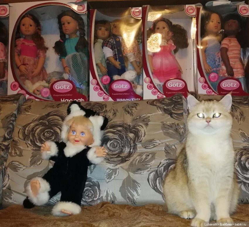 Кошки и куклы — В мире животных: смешные фото питомцев и зверей