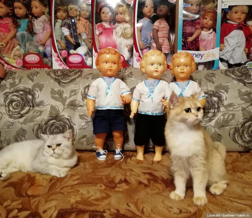 Кошки и куклы — В мире животных: смешные фото питомцев и зверей