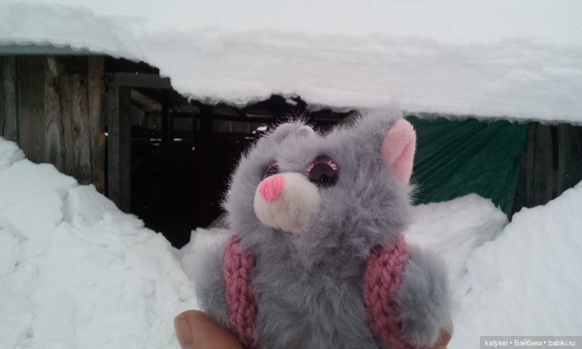 День котиков — Коллекционные игрушки и фигурки: Lego