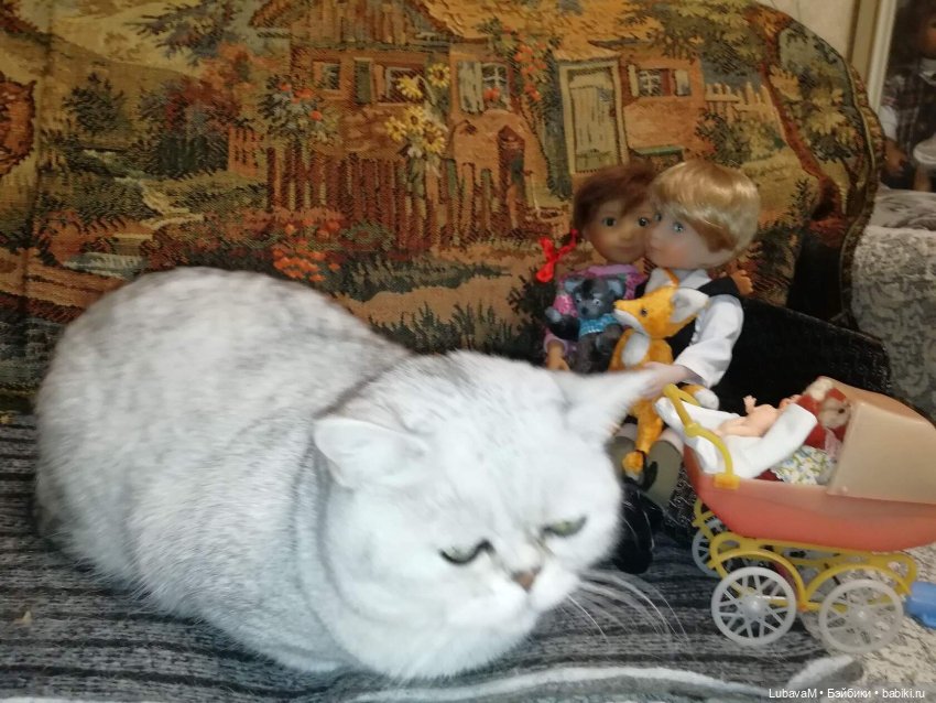 Кошки и куклы — В мире животных: смешные фото питомцев и зверей
