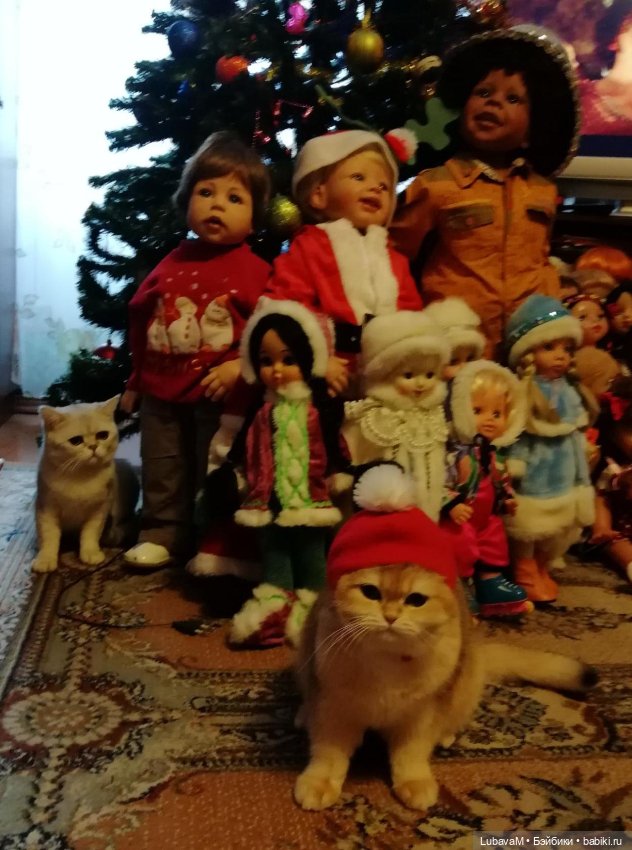 Кошки и куклы — В мире животных: смешные фото питомцев и зверей