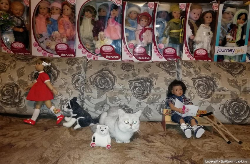 Кошки и куклы — В мире животных: смешные фото питомцев и зверей