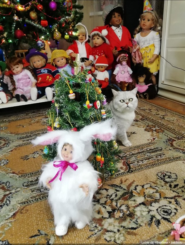 Кошки и куклы — В мире животных: смешные фото питомцев и зверей