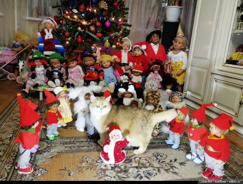 Кошки и куклы — В мире животных: смешные фото питомцев и зверей