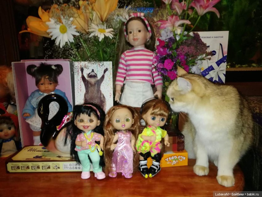 Кошки и куклы — В мире животных: смешные фото питомцев и зверей